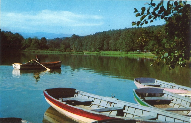 1739-3 - Sibiu. Lacul din Dumbrava